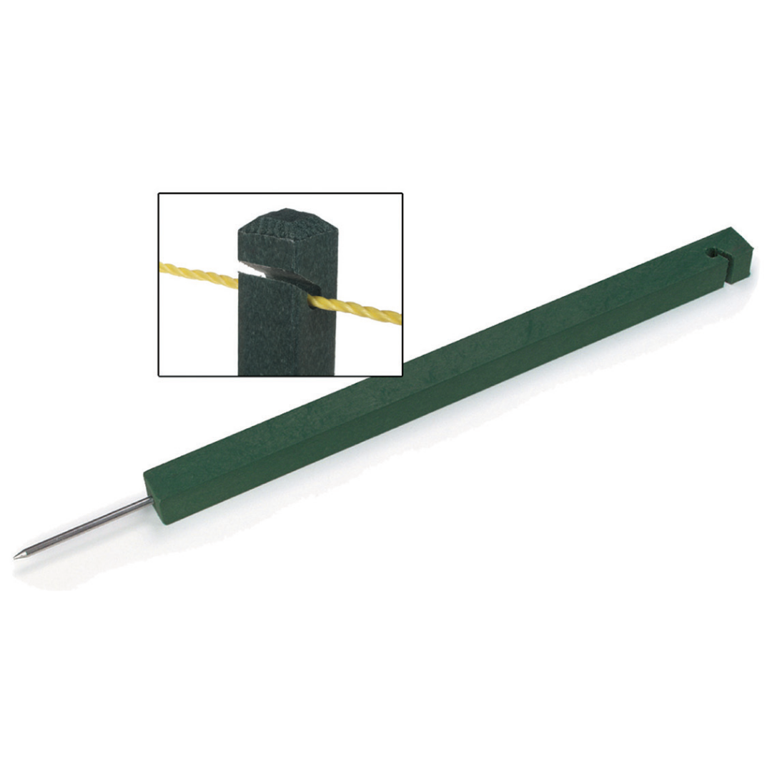 Rope Stakes