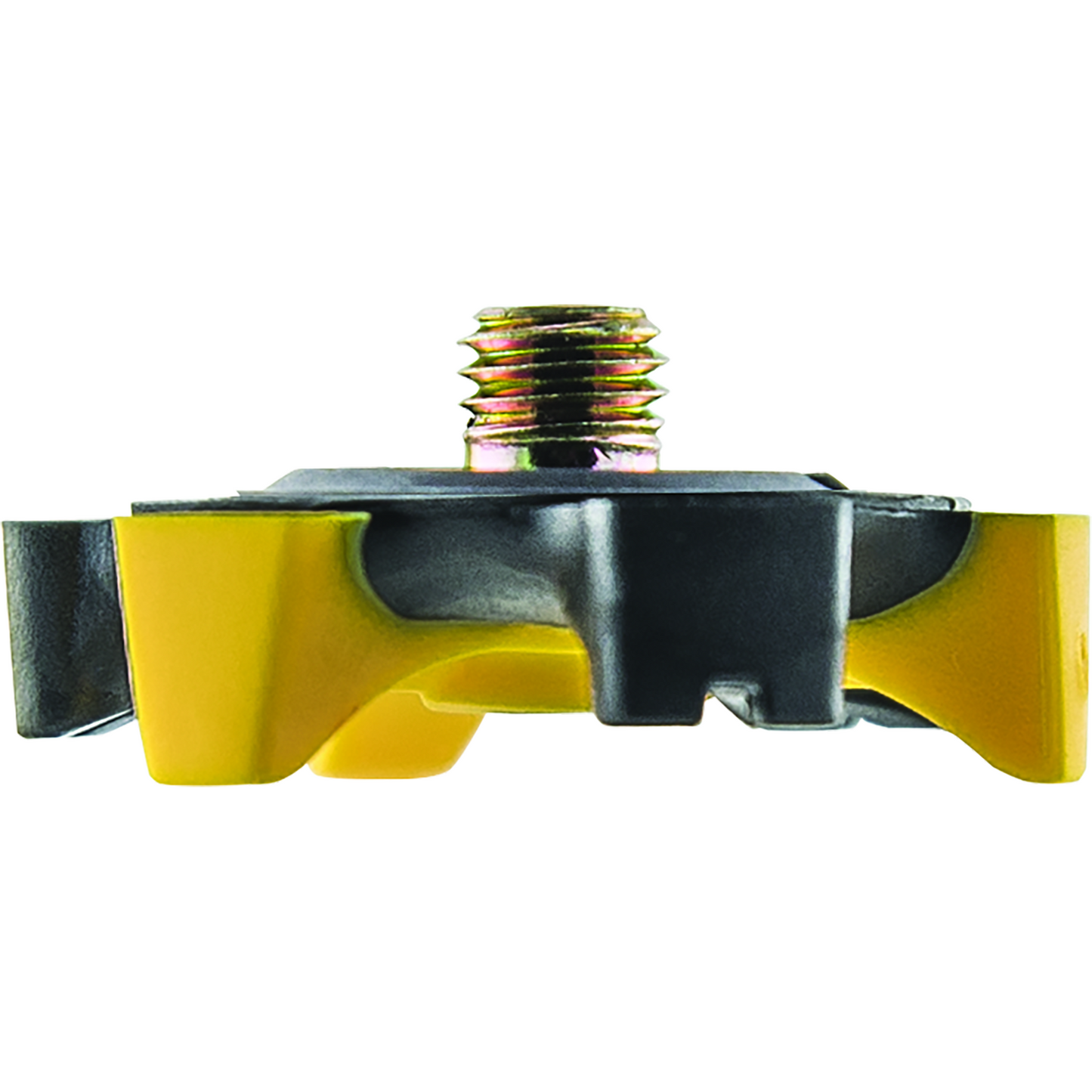 Champ Stinger Cleat