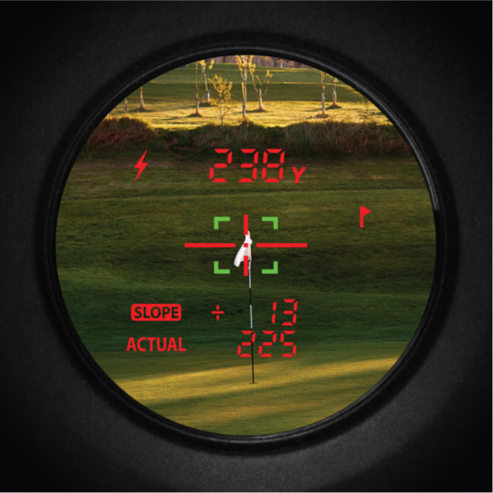 EasyGreen OLED Vison Pro